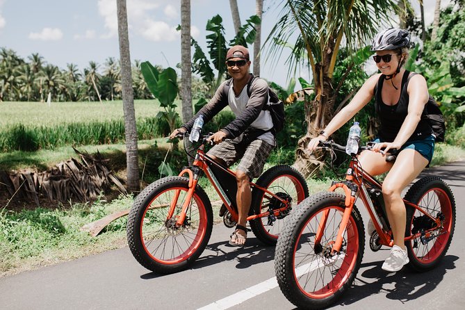 Private Fat Tire E-Bike Tour in Ubud - Price and duration: what $75 buys you (and why it can be good value)