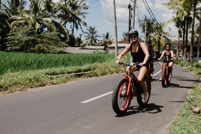 Private Fat Tire E-Bike Tour in Ubud - How long is the ride to the main viewpoint stop?