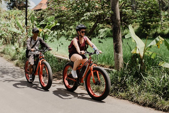 Private Fat Tire E-Bike Tour in Ubud - Tegalalang Rice Terrace: quick views, good photos, and no big detours