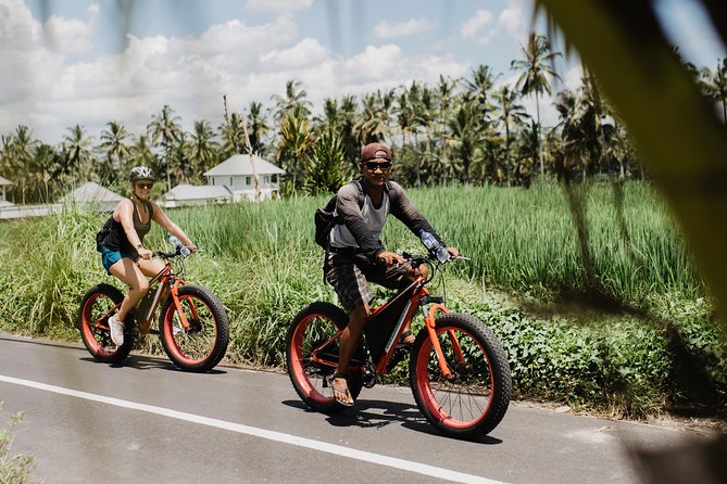 Private Fat Tire E-Bike Tour in Ubud - Beyond the terraces: rice fields, quieter roads, and a culture mix
