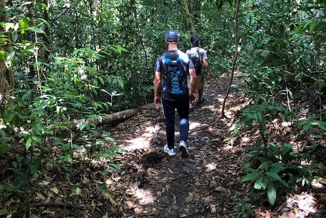 Private Full-Day Bukit Lawang Trekking Tour From Medan - The Jungle Lunch Break, Then Your Choice: Keep Trekking or Tube Raft