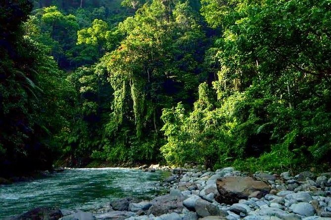 Private Full-Day Bukit Lawang Trekking Tour From Medan - Price and Logistics: Does $128.21 Per Person Make Sense?