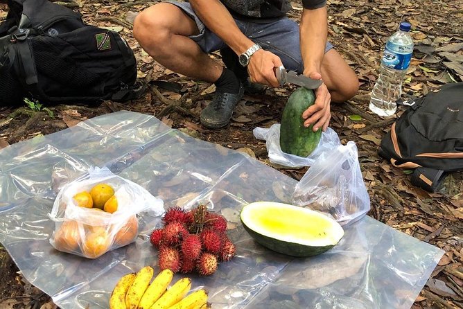 Private Full-Day Bukit Lawang Trekking Tour From Medan - What to Pack for a Rainforest Trek From Bukit Lawang