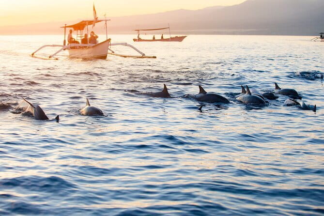 Private Full - Day Nusa Penida Island Tour - Stop by Stop: What You Get at Each Nusa Penida Highlight