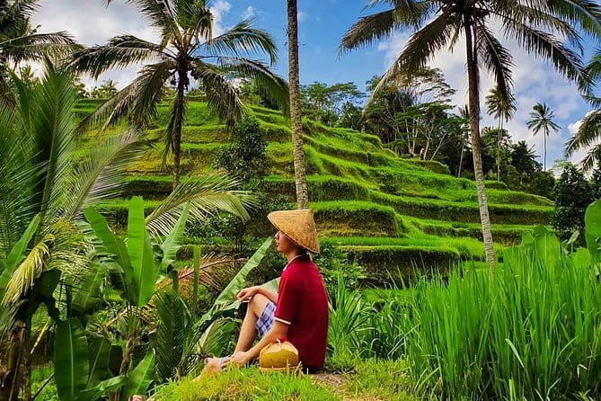 Private Full - Day Nusa Penida Island Tour - East Coast vs East and West: Choose the Right Match for Your Day