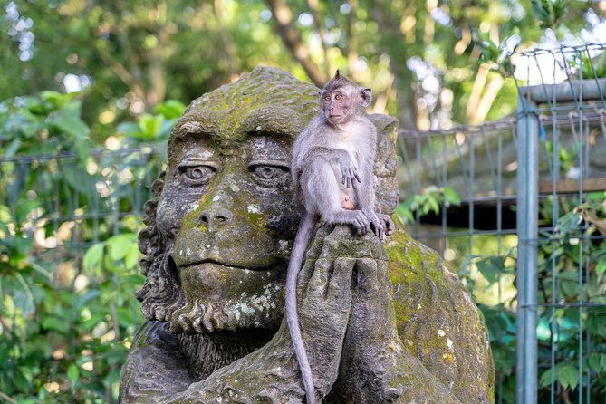 Private Full-Day Tour: Balinese Temples and Rice Terraces - Stop 4: Tegalalang Rice Terraces, a short trek that makes it real
