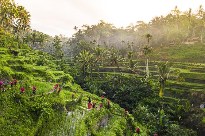 Private Full-Day Tour: Balinese Temples and Rice Terraces - Stop 5: D Alas Warung lunch with jungle views
