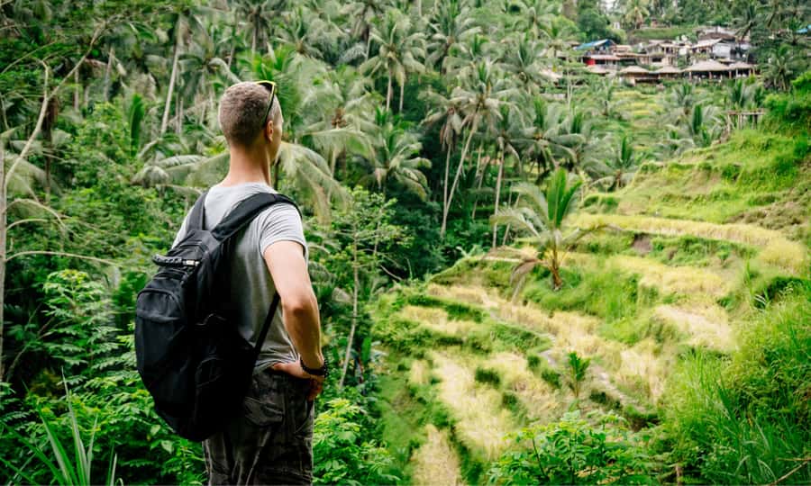 Private Full-Day Tour to the Real Bali Swing and Ubud - Bali Swing time: adrenaline plus lunch plus the best vantage points