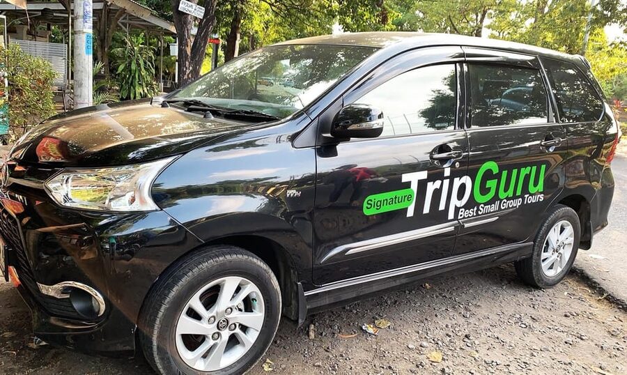 Private Full-Day Tour to the Real Bali Swing and Ubud - Who this tour suits best, and who should skip it
