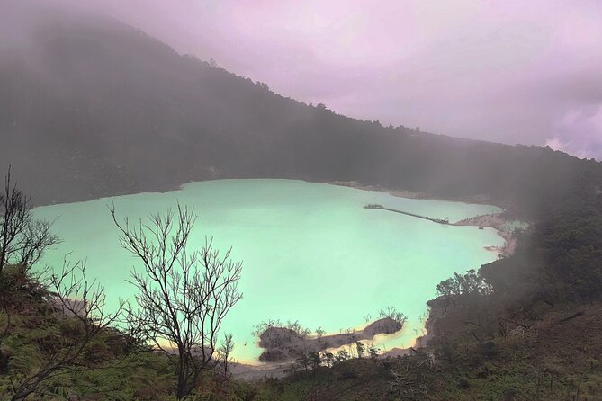 Private Guided to The White Crater & Surrounding Areas Tour - Kawah Putih (White Crater): your main photo and viewpoint window
