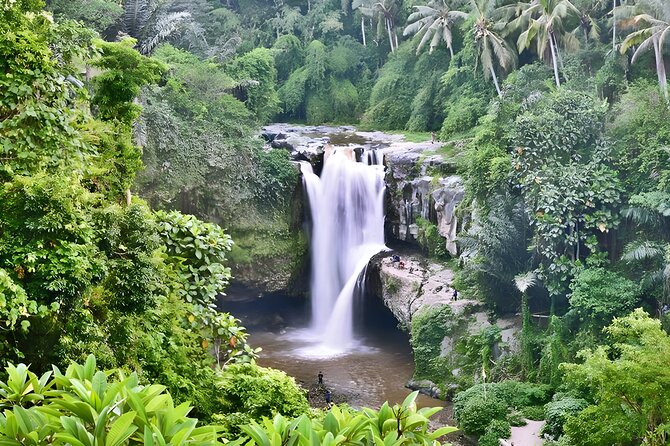 Private Half-Day Tour: The Best Ubud Half Day Trip Packages - Stop 1: Sacred Monkey Forest Sanctuary, up close with macaques