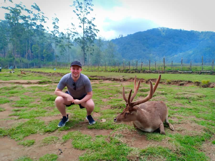 Private: Kawah Putih,Volcano,HotSpring,Mud Bathing,Lake Tour - Rancaupas Deer Conservation, plus Hot Springs and Mud Baths