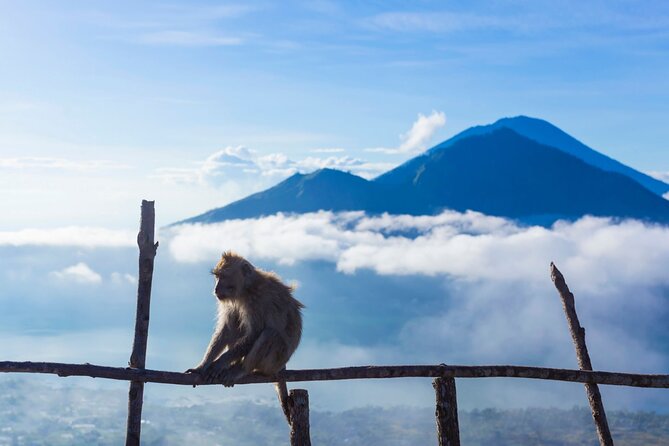 Private Mount Batur Sunrise Trekking Tour - Who this trek fits best (and who should think twice)