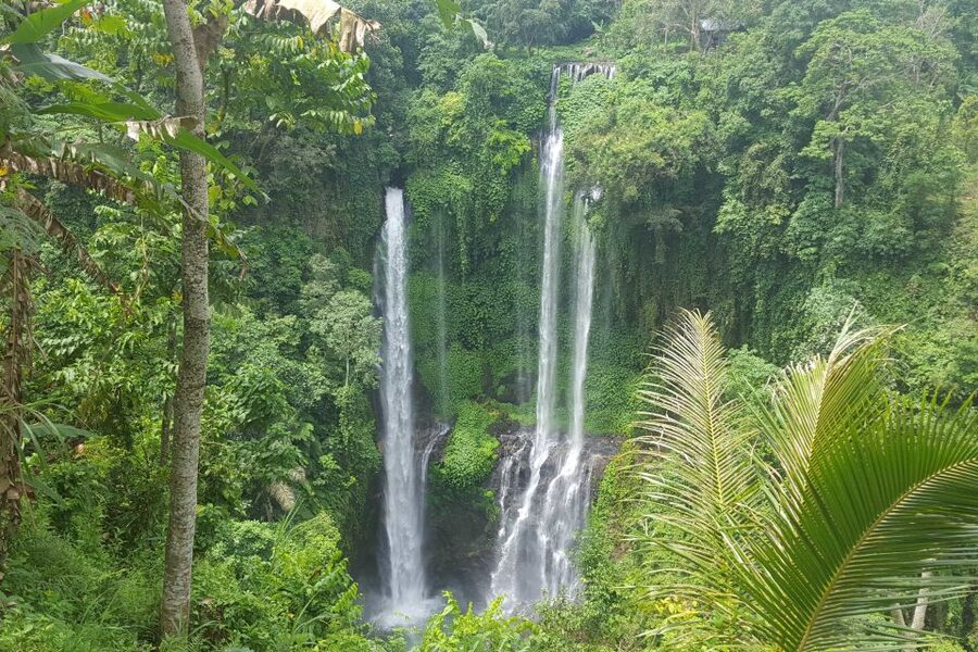 Private Sekumpul Waterfall Hiking Tour - The Temple And What Makes It Work After A Long Hike