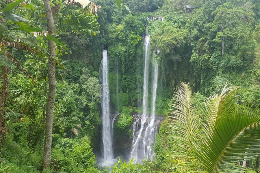 Private Sekumpul Waterfall Hiking Tour - Coffee Plantation Stop, Kopi Luwak, And What You Actually Pay For
