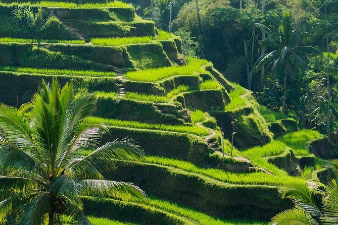 Private Shore Excursion: Customized Best of Bali Tour - How the customization works in practice