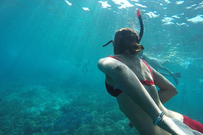 Private Snorkeling Gili Island (Coral, Statue and Turtle) - Turtle Point: how to maximize your odds without chasing