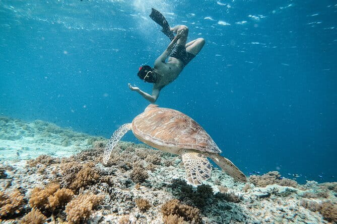 Private Snorkeling Gili Island Including GoPro Camera - Glass-Bottom Boat Ride, Why It’s More Than Just Transport