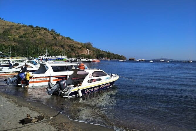 Private Speedboat transfer Between Lombok and Gili Islands - The time range, and why “fast” still needs a bit of planning