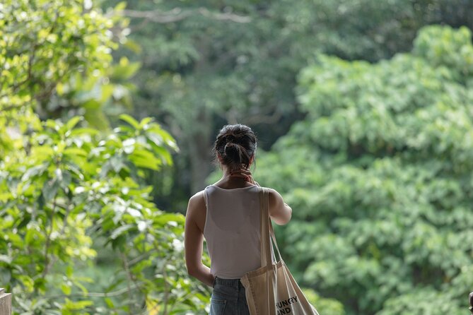 Private Tour : Bali Best Waterfalls, Temples and Monkey Forest - Elephant Cave Temple, what the name can mislead you about