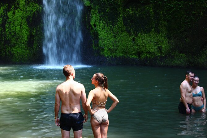 Private Tour : Bali Best Waterfalls, Temples and Monkey Forest - Sangeh Monkey Forest, sanctuary rules and respectful viewing