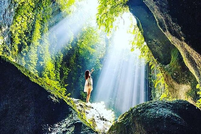 Private Tour: Bali in a Day - Price and logistics: why this works for a one-day schedule