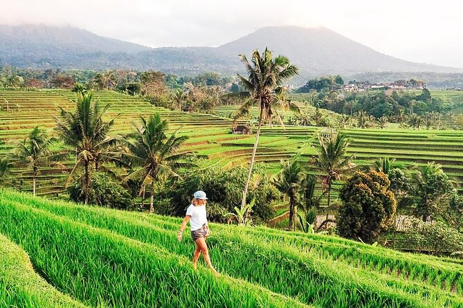 Private Tour: Bali UNESCO World Heritage Sites - Handara Iconic Gate: the photo spot with mountain framing