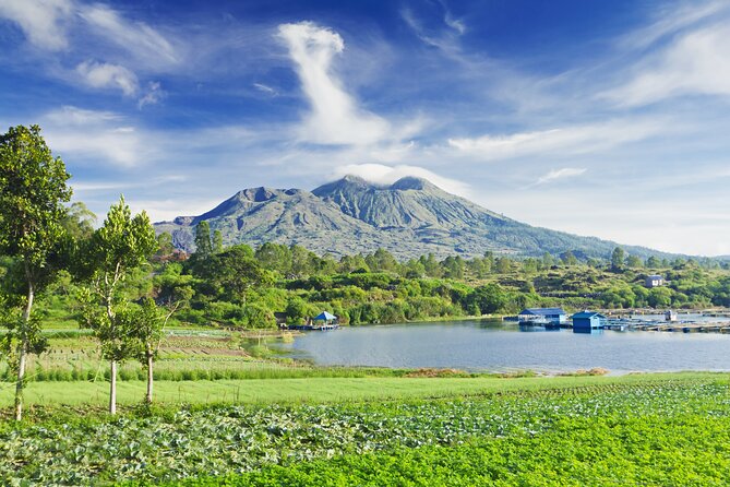 Private Tour: Bali Volcano with Jungle Swing Experience - Tegalalang Rice Terrace: Real Farmer Life, Not Just a Viewpoint