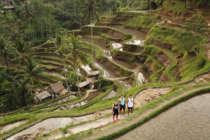 Private Tour: Bali Volcano with Jungle Swing Experience - d’Alas Jungle Swing: The Photo Moment With Dedicated Time