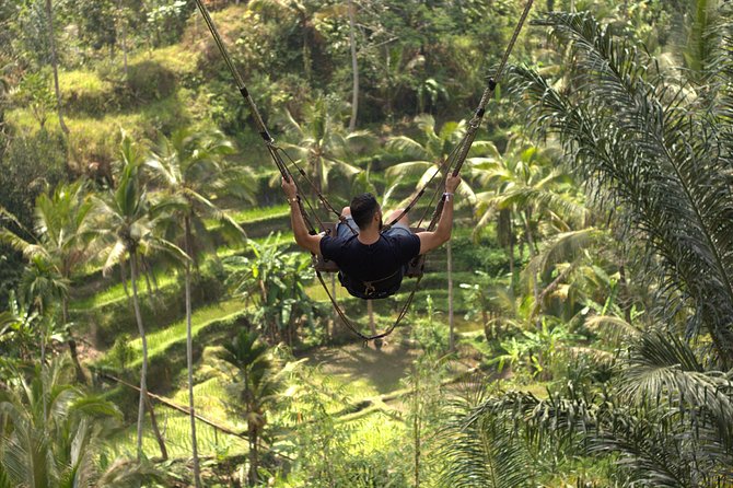Private Tour: Bali Volcano with Jungle Swing Experience - Tegenungan Waterfall: Big Water Energy at the End