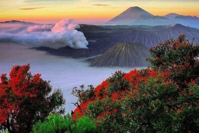 Private Tour : Bromo Ijen Tour From Bali