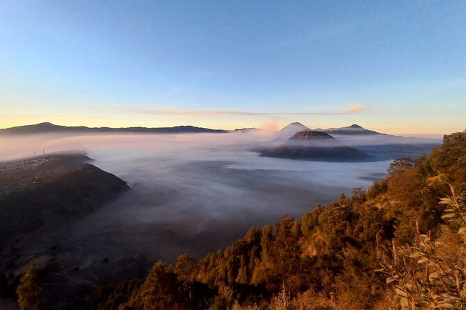 Private Tour : Bromo Ijen Tour From Bali - Getting the Most Out of a Private Format in Real Terms