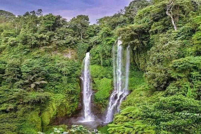Private Tour Sekumpul Waterfall Combination Beratan Temple & Twin Lakes - Getting to the Sekumpul area without wrestling mountain roads