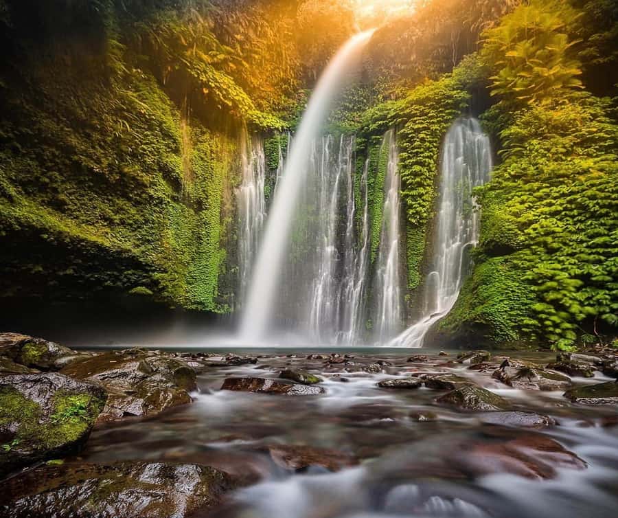 "Private Tour: Sendang Gile, Tiu Kelep Waterfall & Sembalun" - Key highlights you should care about