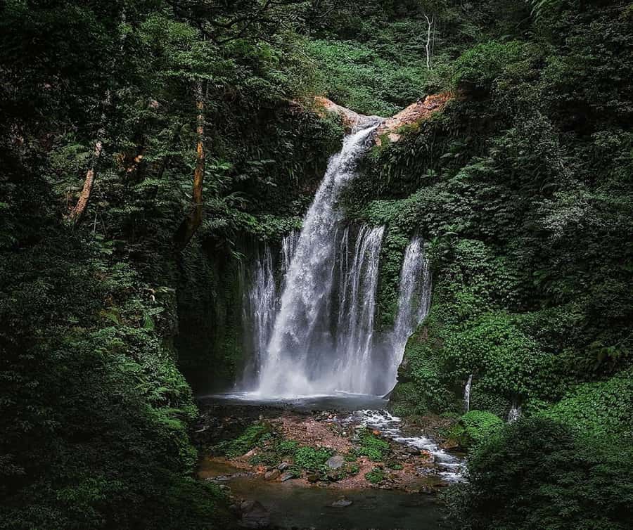 "Private Tour: Sendang Gile, Tiu Kelep Waterfall & Sembalun" - A North Lombok Day Packed With Waterfalls, Valleys, and Cliff Views