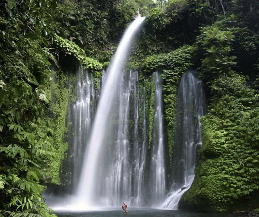 "Private Tour: Sendang Gile, Tiu Kelep Waterfall & Sembalun" - Price and What $36 Buys You (Private, Transport, Entrance Fees, and Guides)