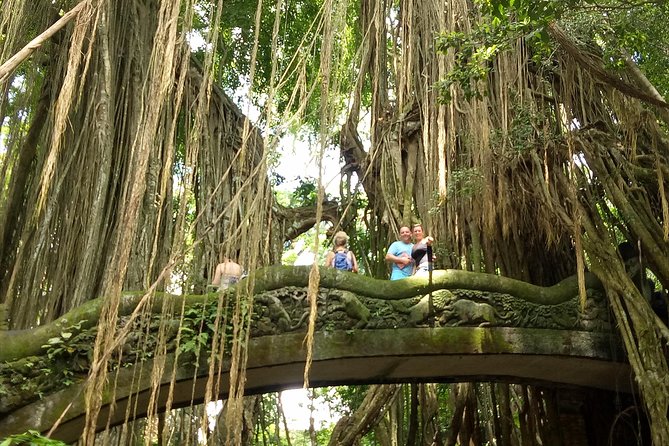 Private Tour to Sumampan Waterfall, Monkey forest, Rice terraces and Swing - Why This Ubud Route Works, Waterfall to Swing to Art