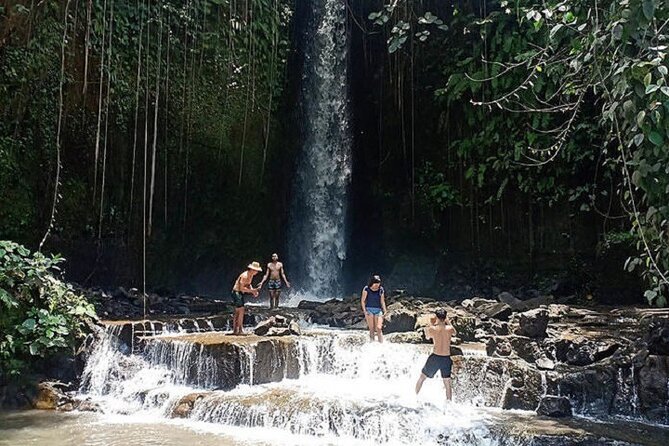 Private Tour to Sumampan Waterfall, Monkey forest, Rice terraces and Swing - Stop-by-Stop Breakdown: Sumampan Waterfall and Puseh Batuan Temple