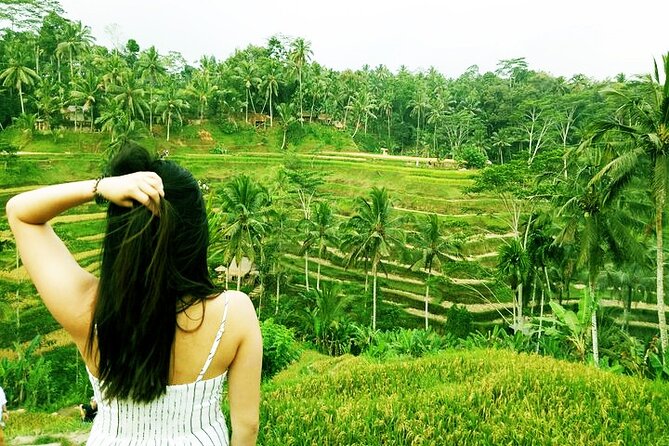 Private Tour to Sumampan Waterfall, Monkey forest, Rice terraces and Swing - Sacred Monkey Forest Sanctuary: Grey Long-Tailed Macaques and Practical Photo Rules
