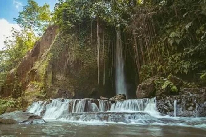 Private Tour to Sumampan Waterfall, Monkey forest, Rice terraces and Swing - Price and What $57 Gets You (and Why It Feels Like Good Value)