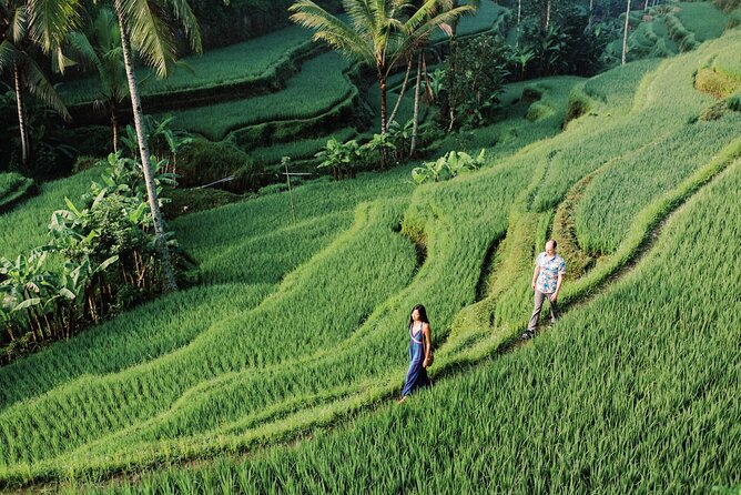 Private Tour Top Sights of Bali in One Day - Lunch at the Volcano View: Panca Yoga Buffet Time