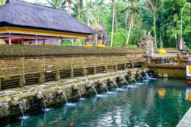 Private Tour Top Sights of Bali in One Day - Uma Pakel Jungle Swing: Views With a Bit of Risk