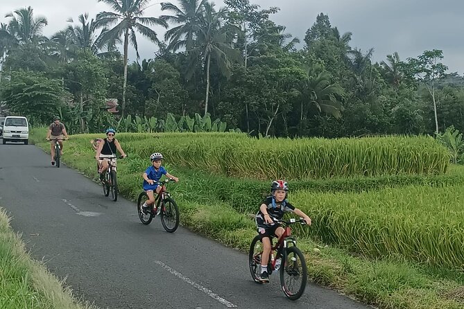 Private Ubud Downhill Cycling with Volcano, Rice Paddies & Meal - Pura Dalem Pukuh: culture pause with a practical start to the ride
