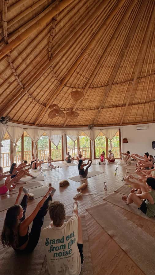 Puppy Yoga in Bali, Ubud & Uluwatu - Key highlights before you go