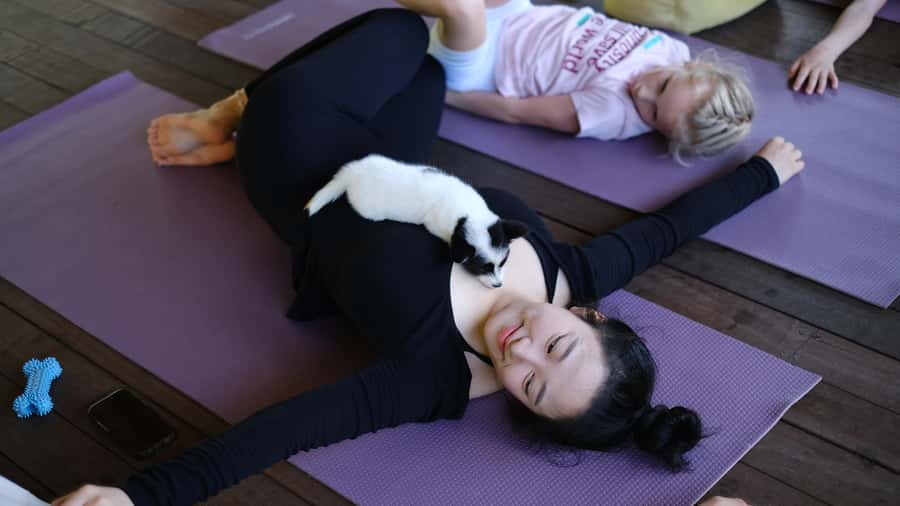 Puppy Yoga in Bali, Ubud & Uluwatu - What to know about the puppies (and the one downside to accept)