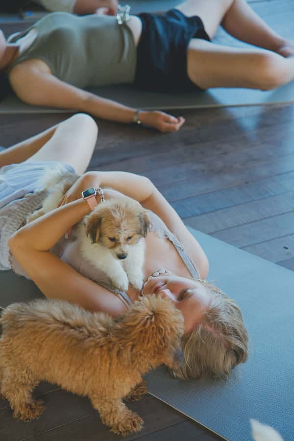 Puppy Yoga in Bali, Ubud & Uluwatu - Who this is best for, and who should skip