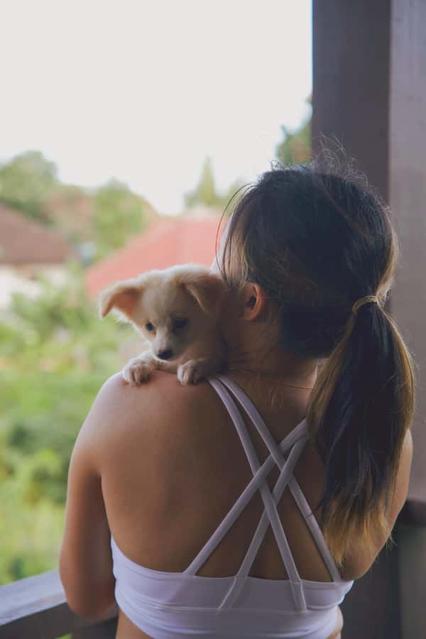 Puppy Yoga in Bali, Ubud & Uluwatu - The 1-hour flow: gentle Hatha, then cuddles and photos