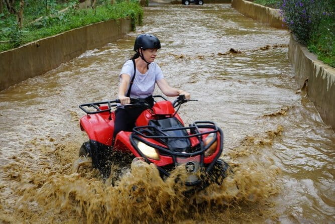 Quad Ride and Ubud Tour - Key highlights to know before you go