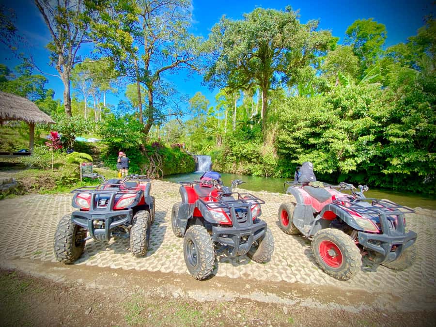 Quad ride, waterfalls & aunthentic cooking class in munduk - Lunch, Tastings, and the Coffee and Tea View Moment