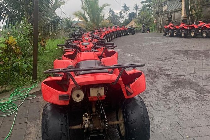 Quadbike Adventure with Tunnel and Waterfall Tour in Bali - The Ride’s Physical Side: Mud, River Sections, and Beginner-Friendly Control